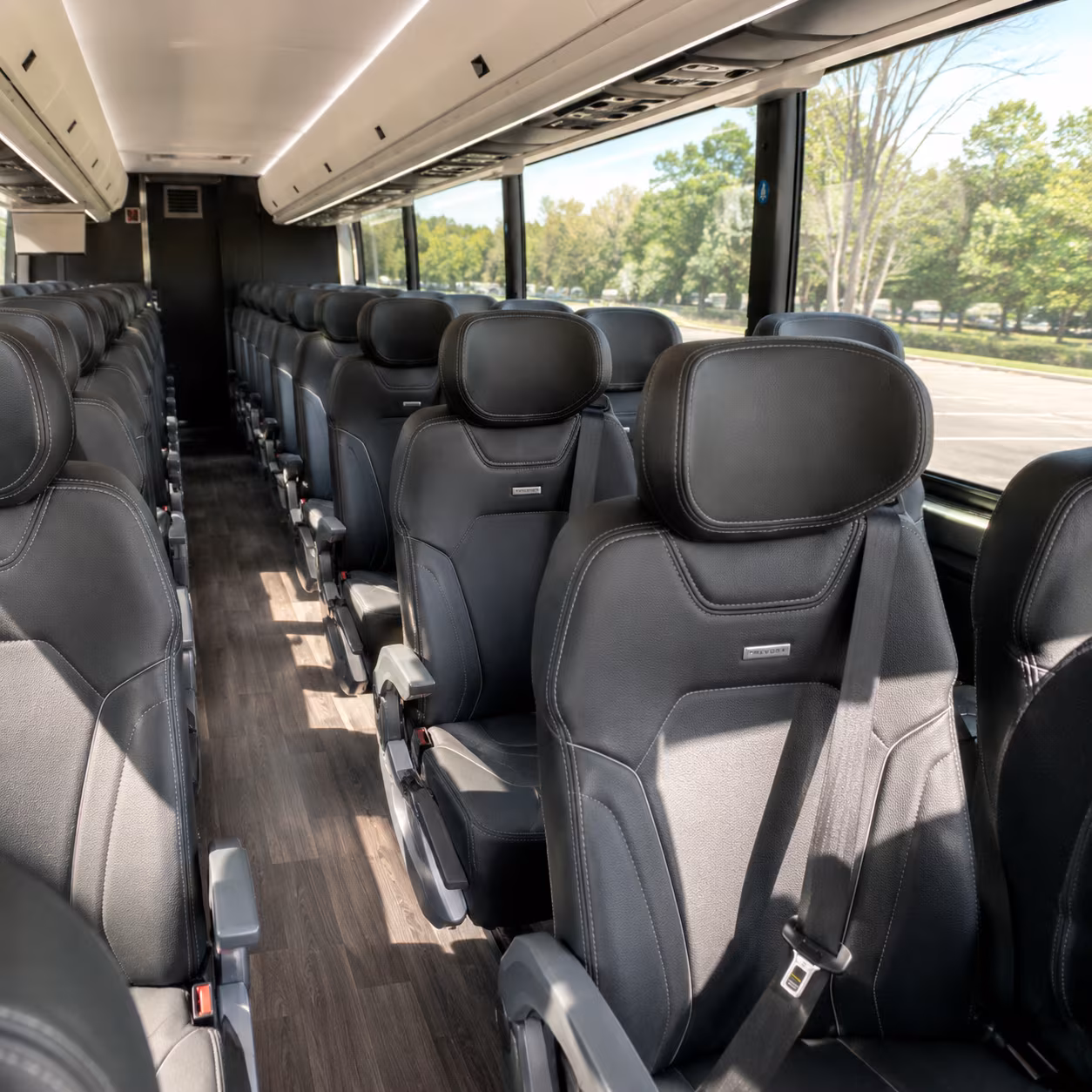 find the perfect transportation for your next birthday 3